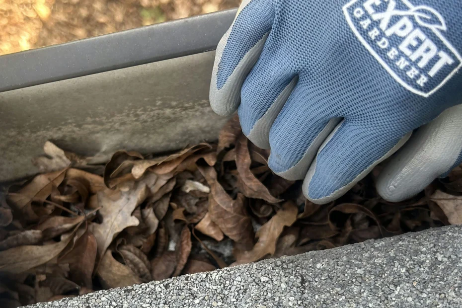 Gutter Cleaning Tomball