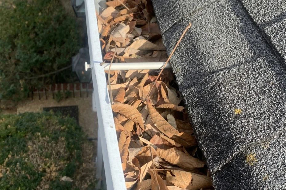 Gutter Cleaning Tomball